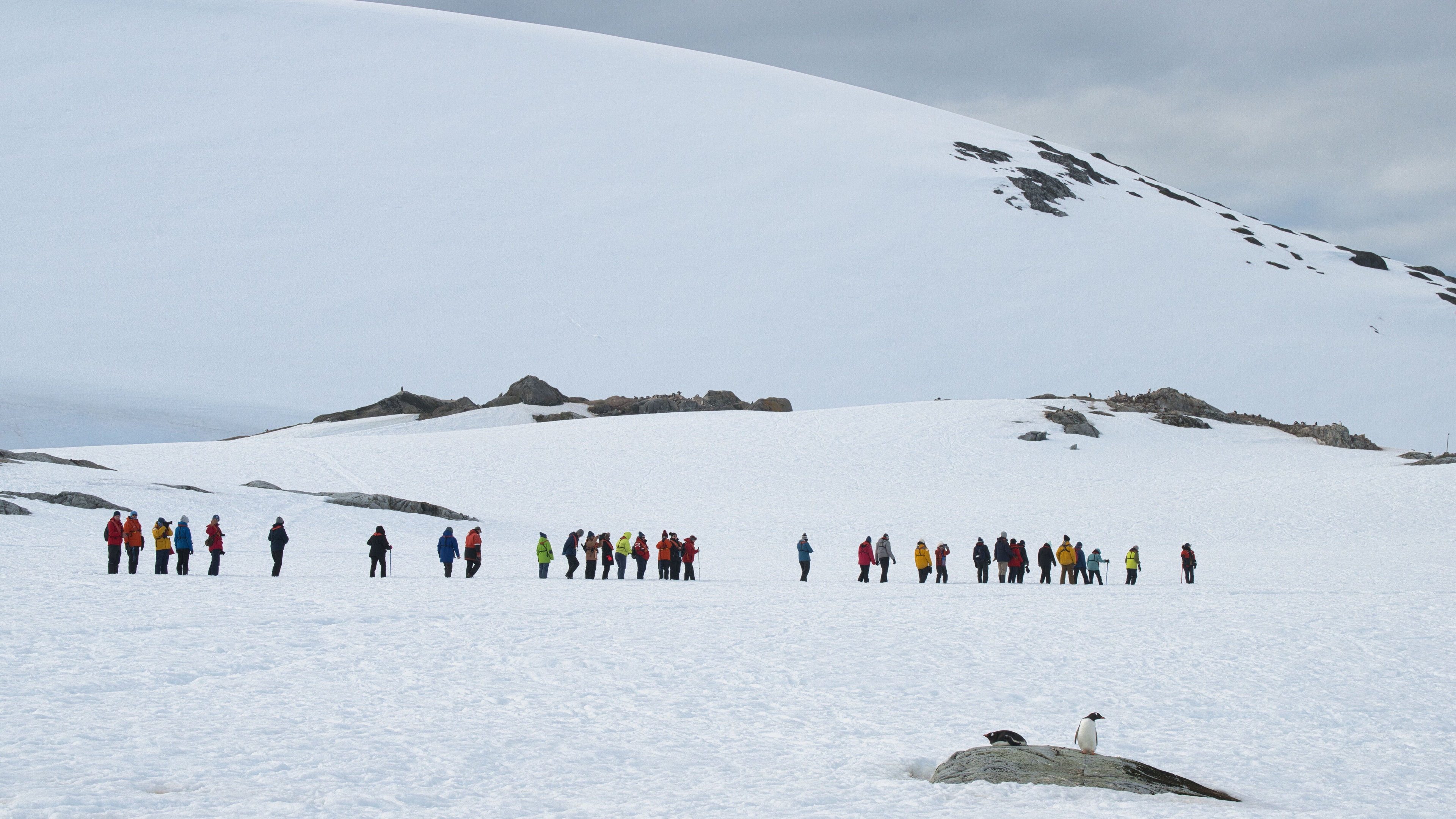 Antarctic expeditions